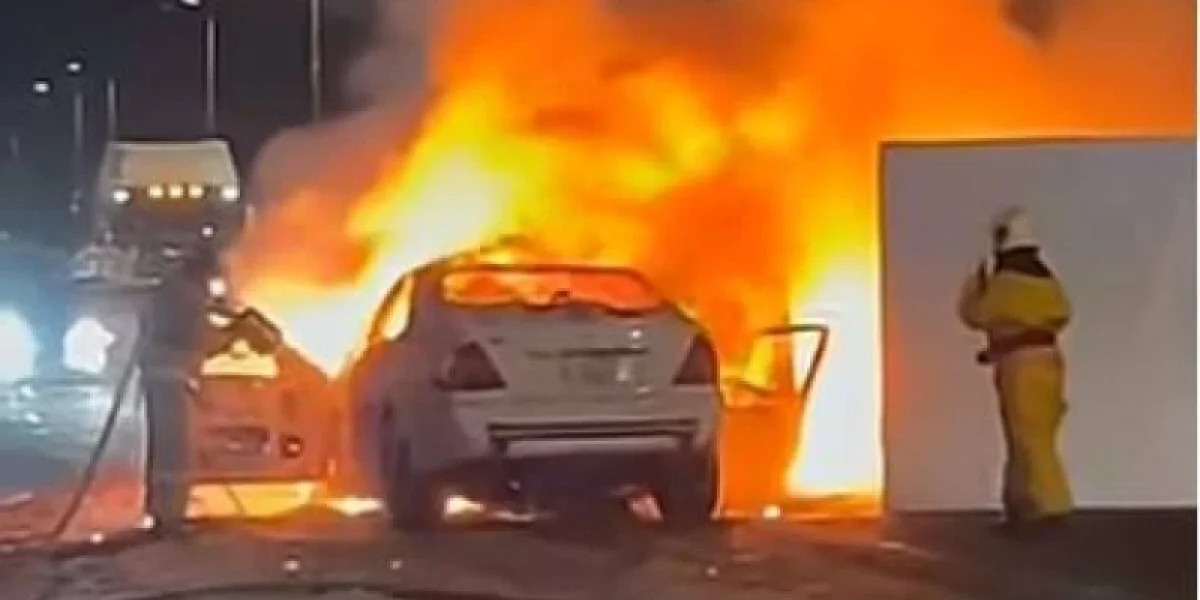 Фото: видео скриншот