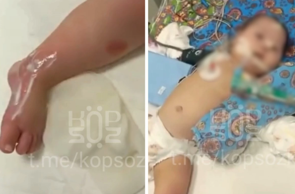 Фото: видеодан скрин