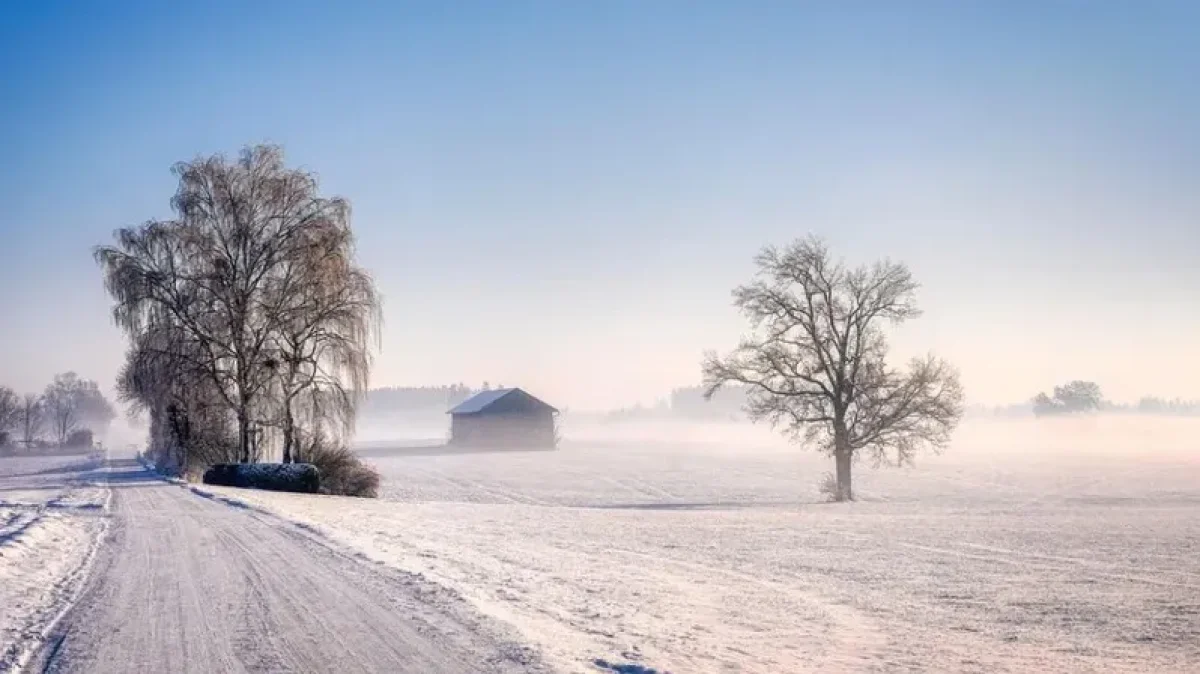 Фото: pixabay.com