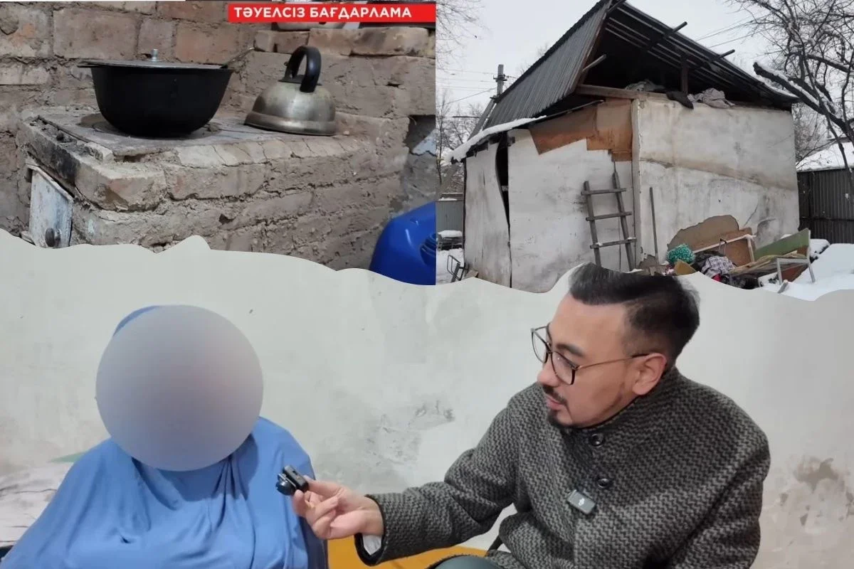 Фото: видео скриншот