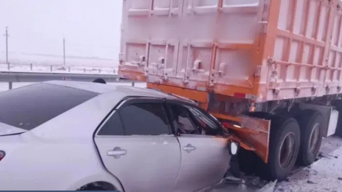 Фото: видео скриншот