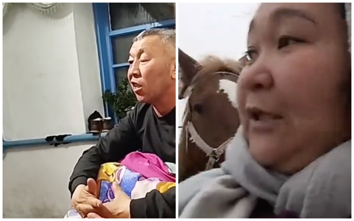 Фото: видеодан скриншот