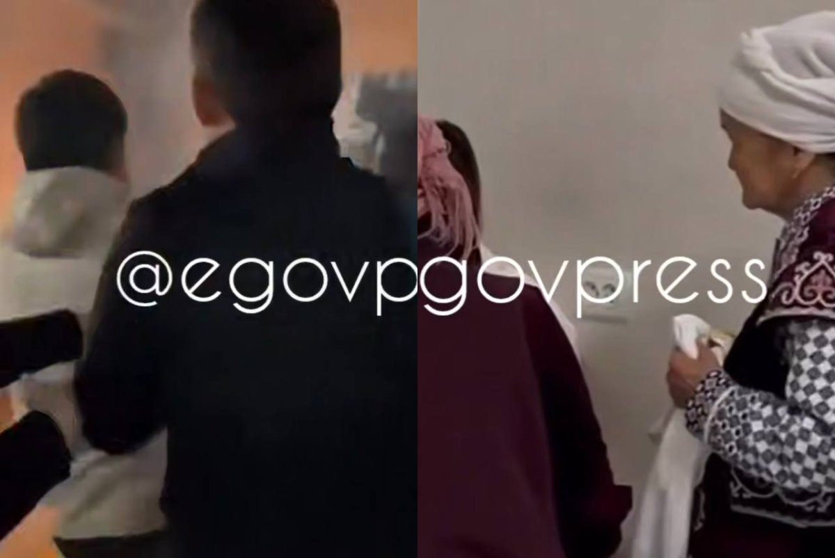 Фото: видеодан скриншот