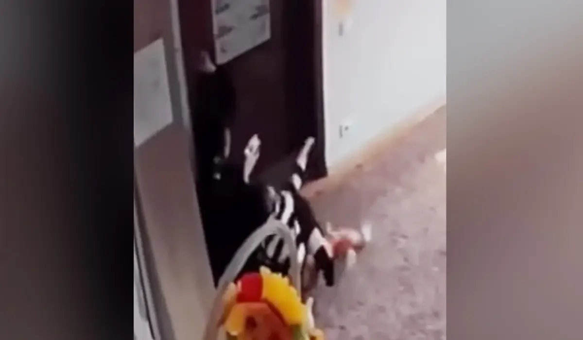 Фото: видео скриншот