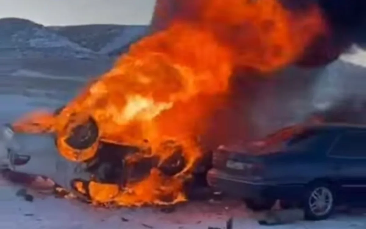 Фото: видео скриншот