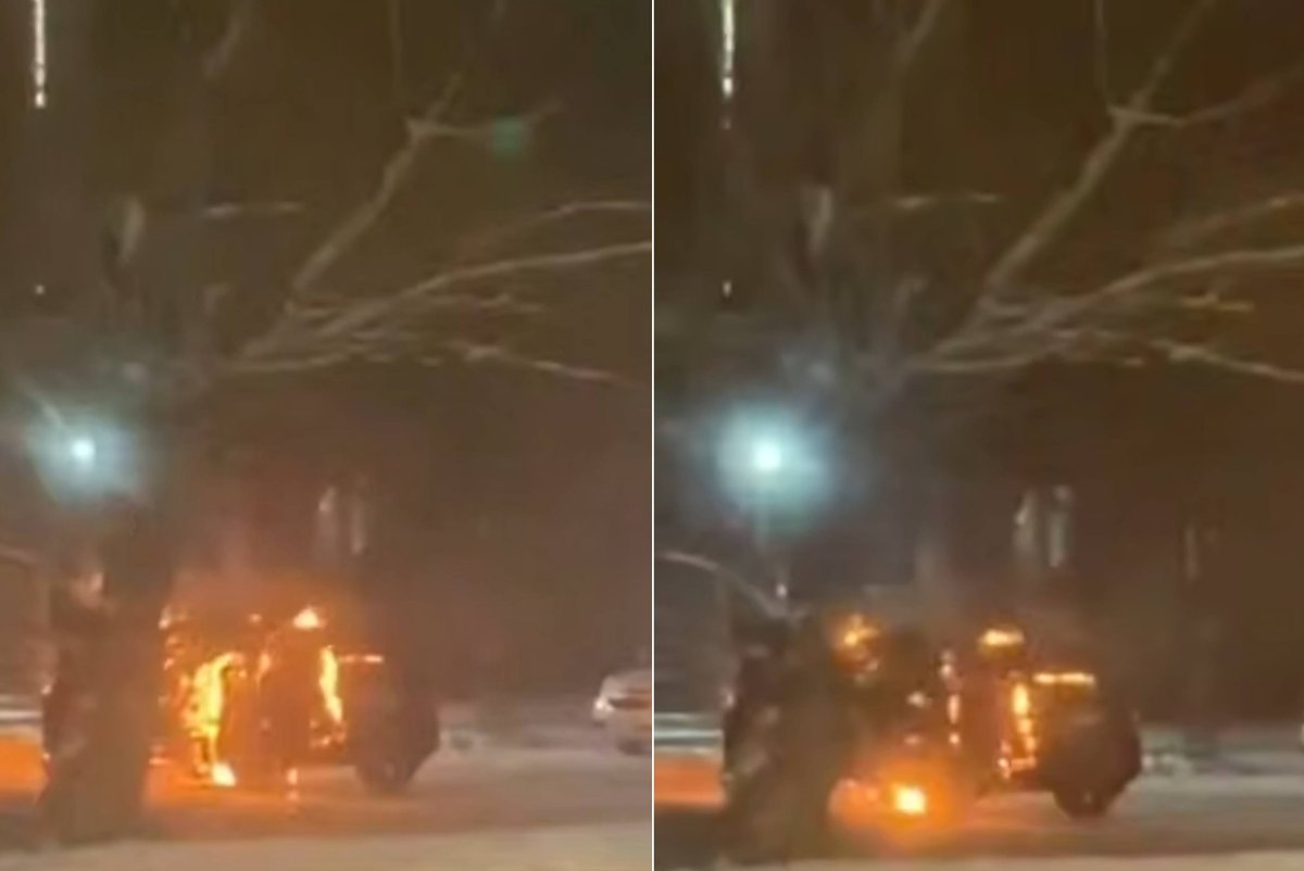 Фото: видеодан скриншот