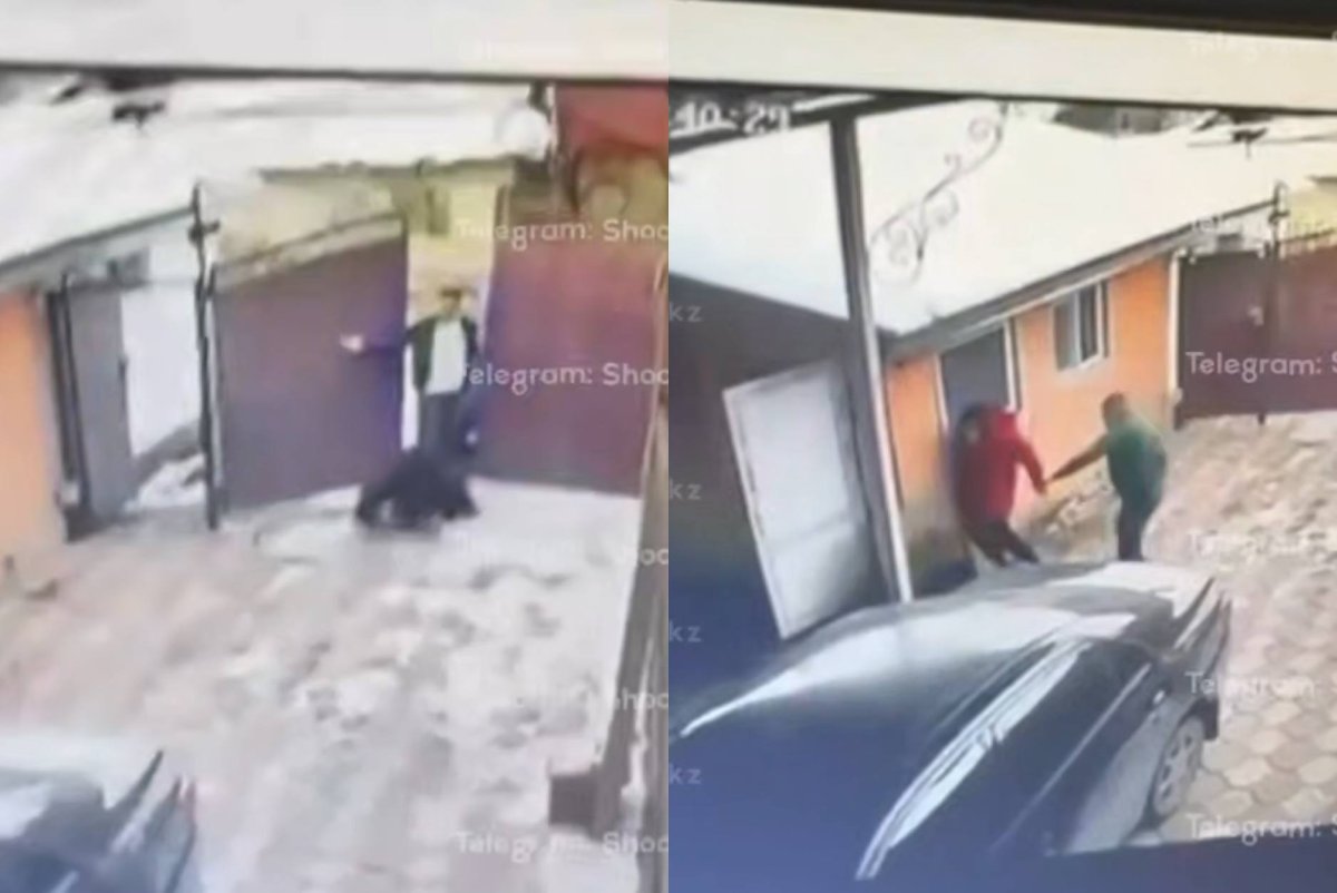 Фото: видеодан скриншот