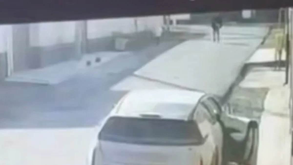 Фото: видеодан скриншот