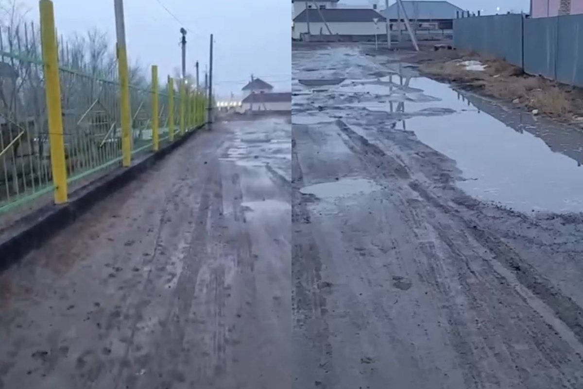 Фото: видеодан скриншот