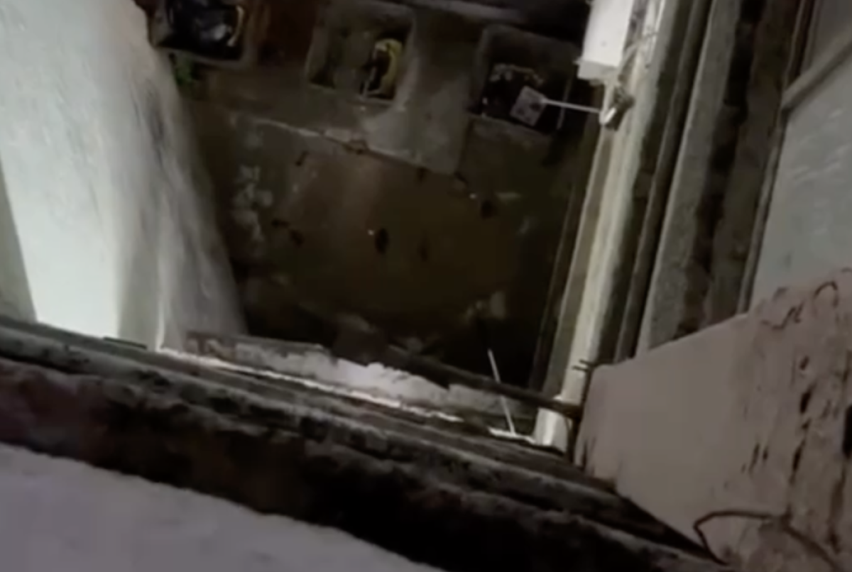 Фото: видео скриншот