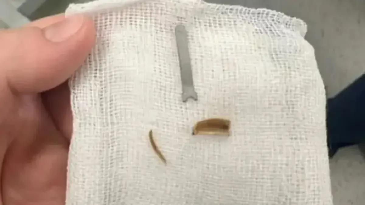 Фото: instagram.com/dr_malikovnaa