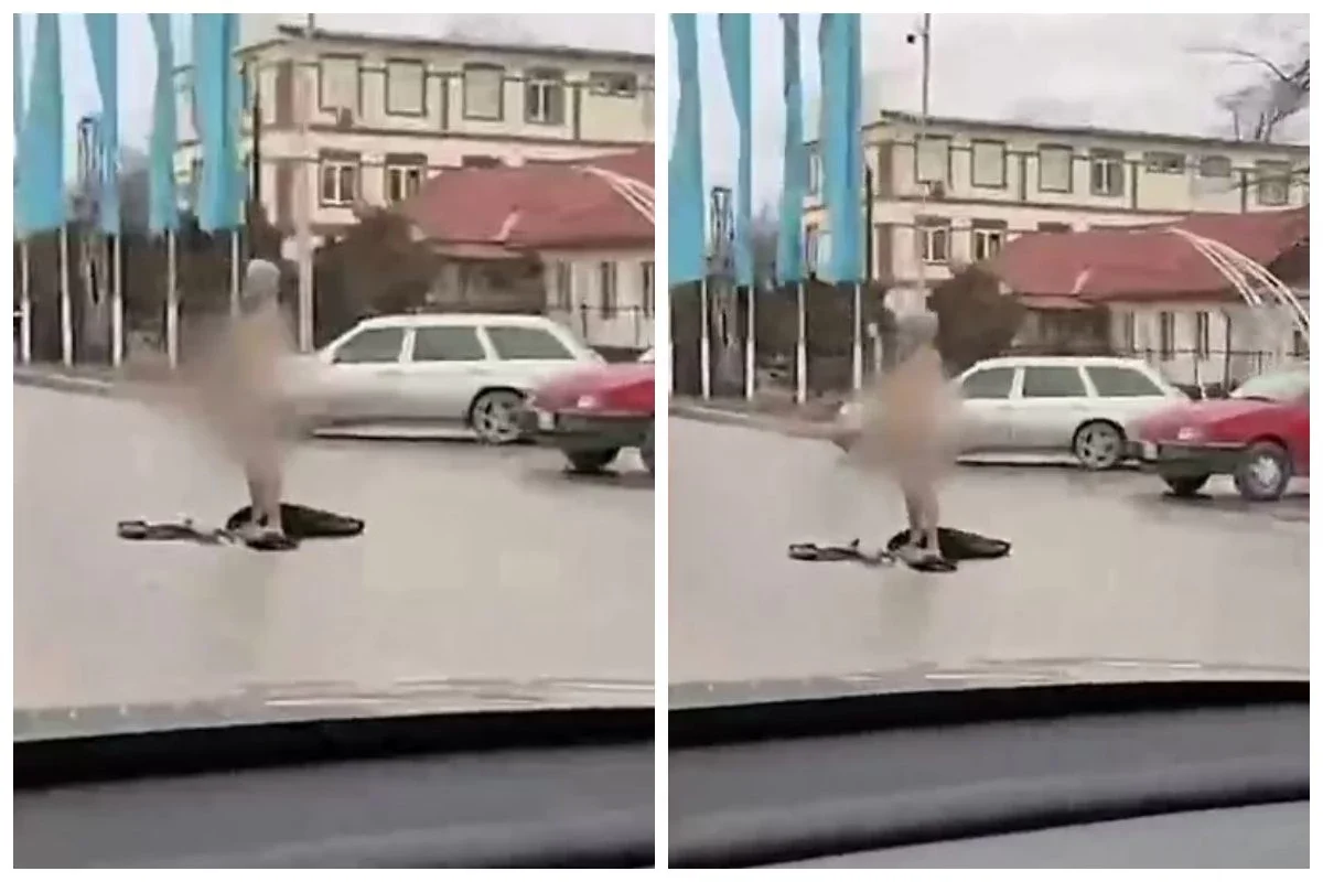 Фото: видео скриншот