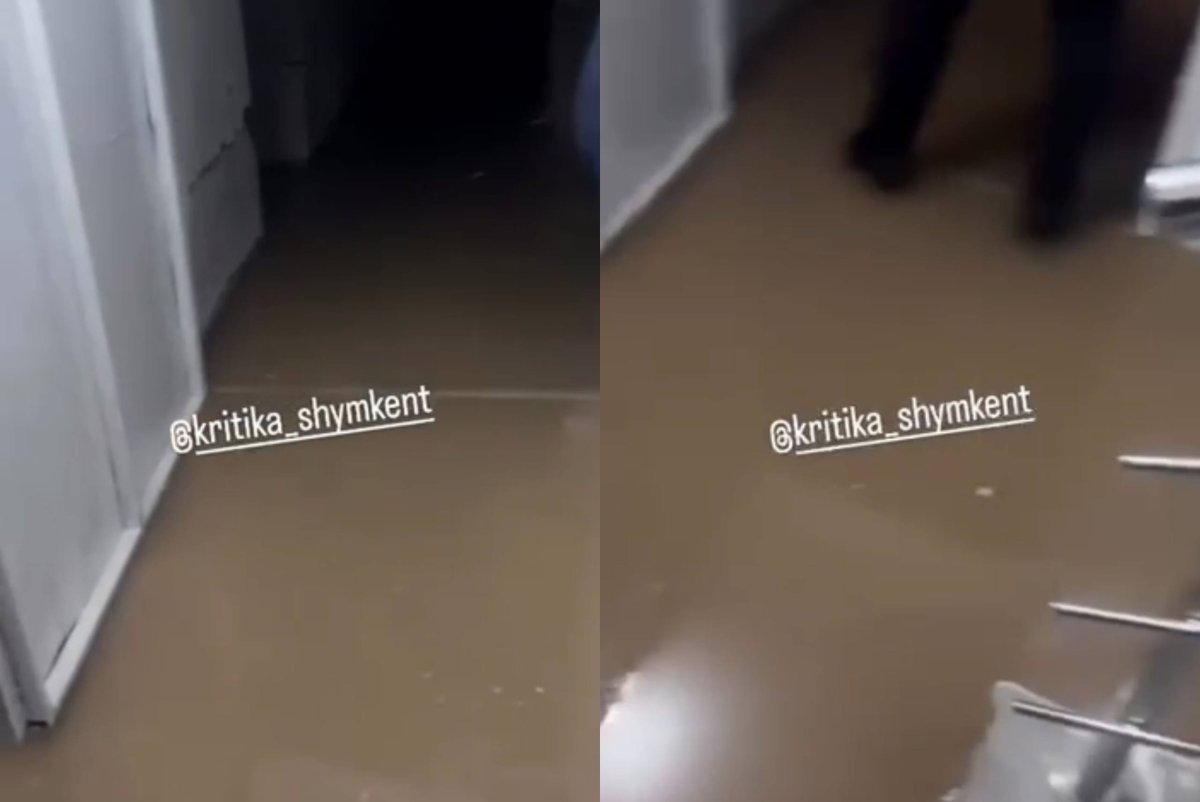 Фото: видеодан скриншот