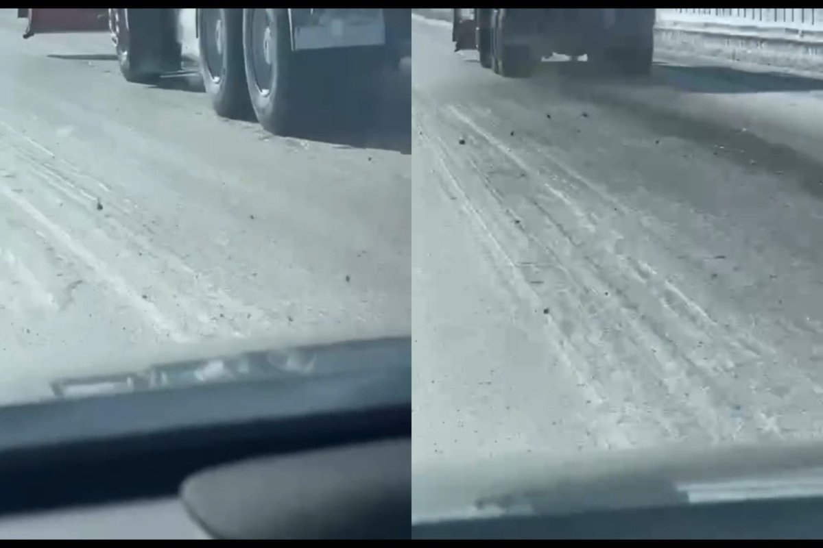 Фото: видеодан скрин