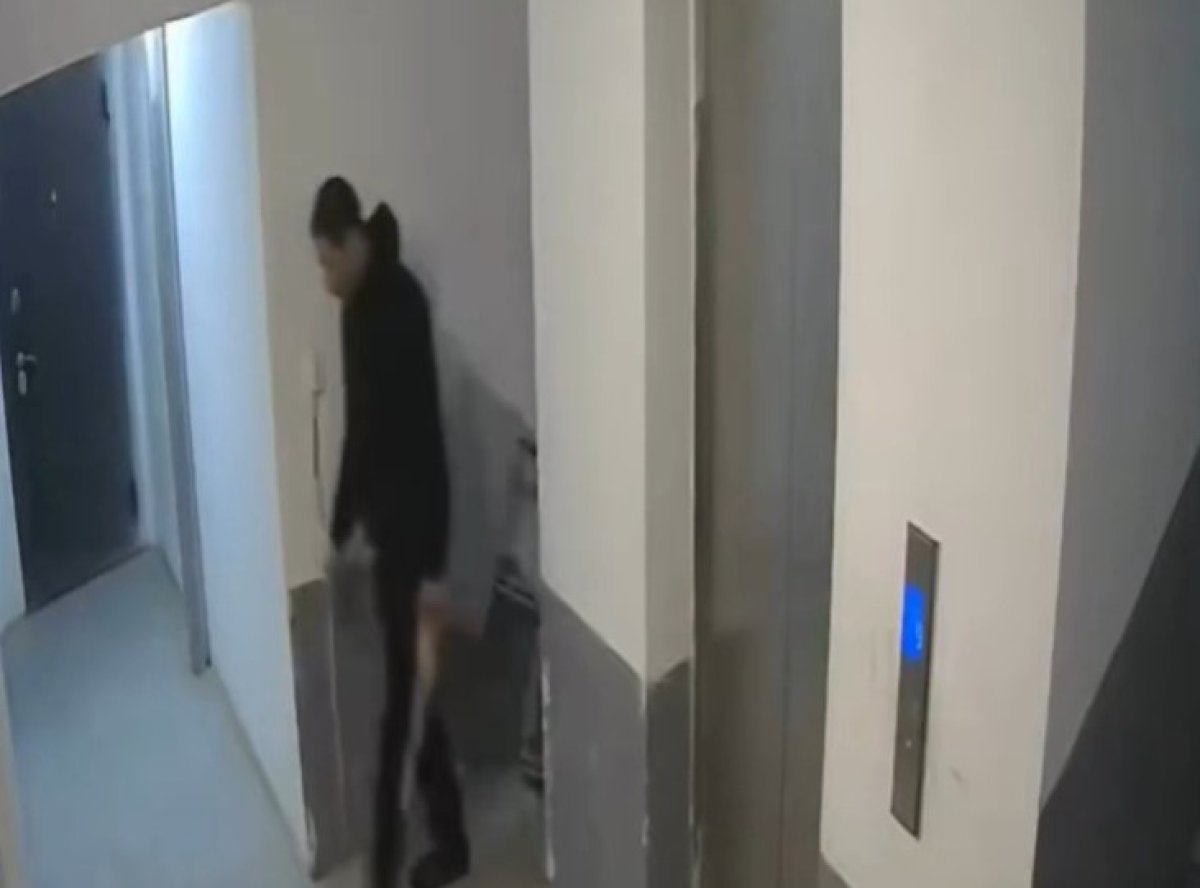 Фото: видеодан скрин