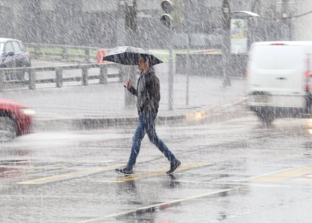 Фото: Агентство Москва