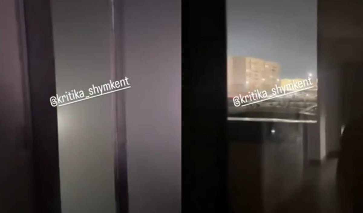 Фото: видеодан скрин