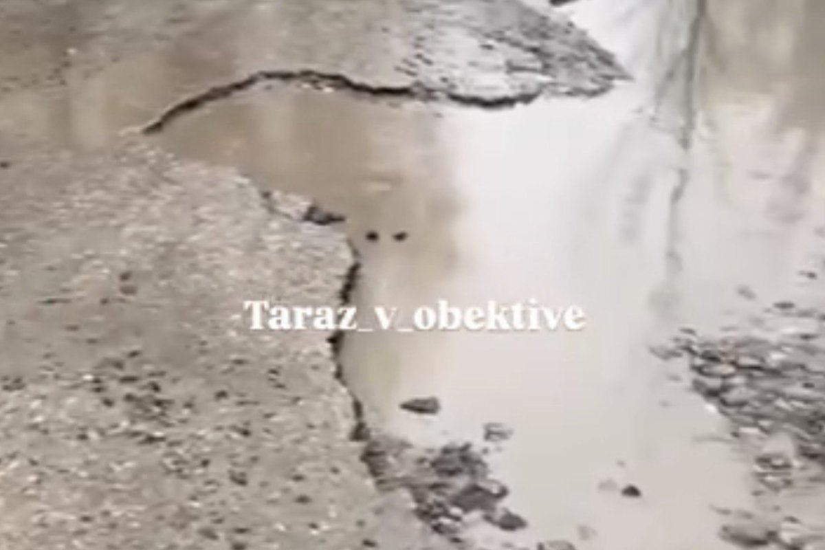 Фото: видеодан скрин