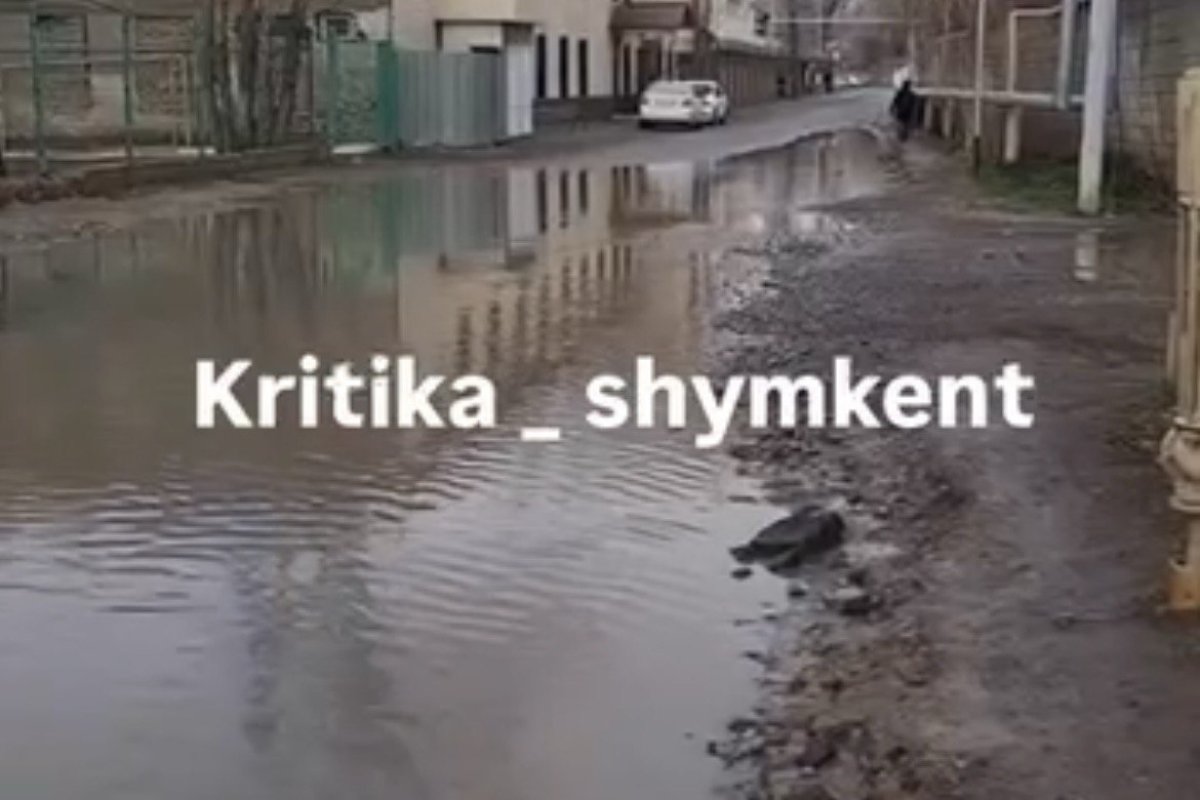 Фото: видеодан скрин