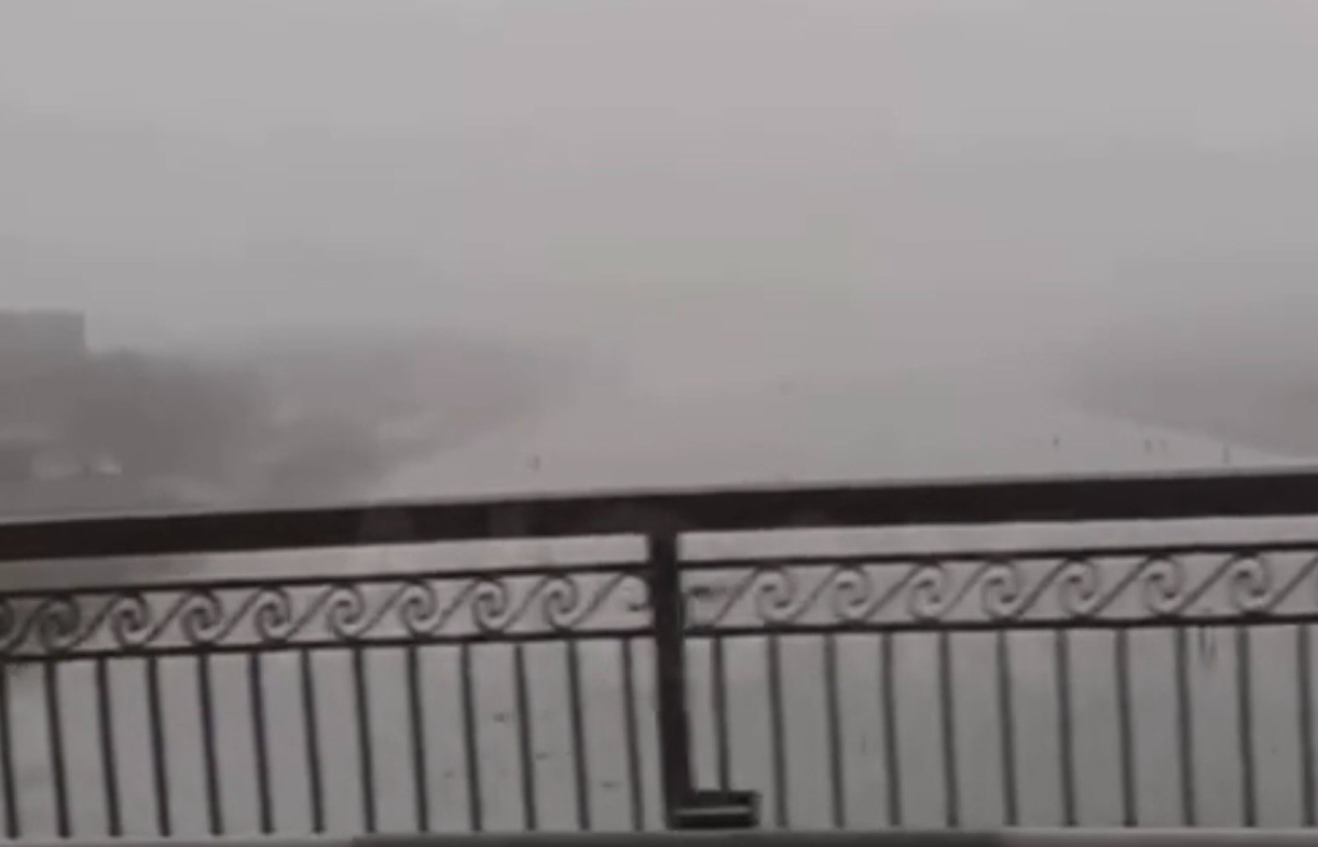 Фото: видеодан скрин