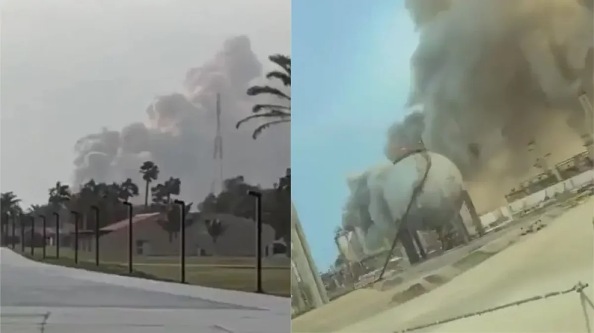 Фото: видеодан скриншот