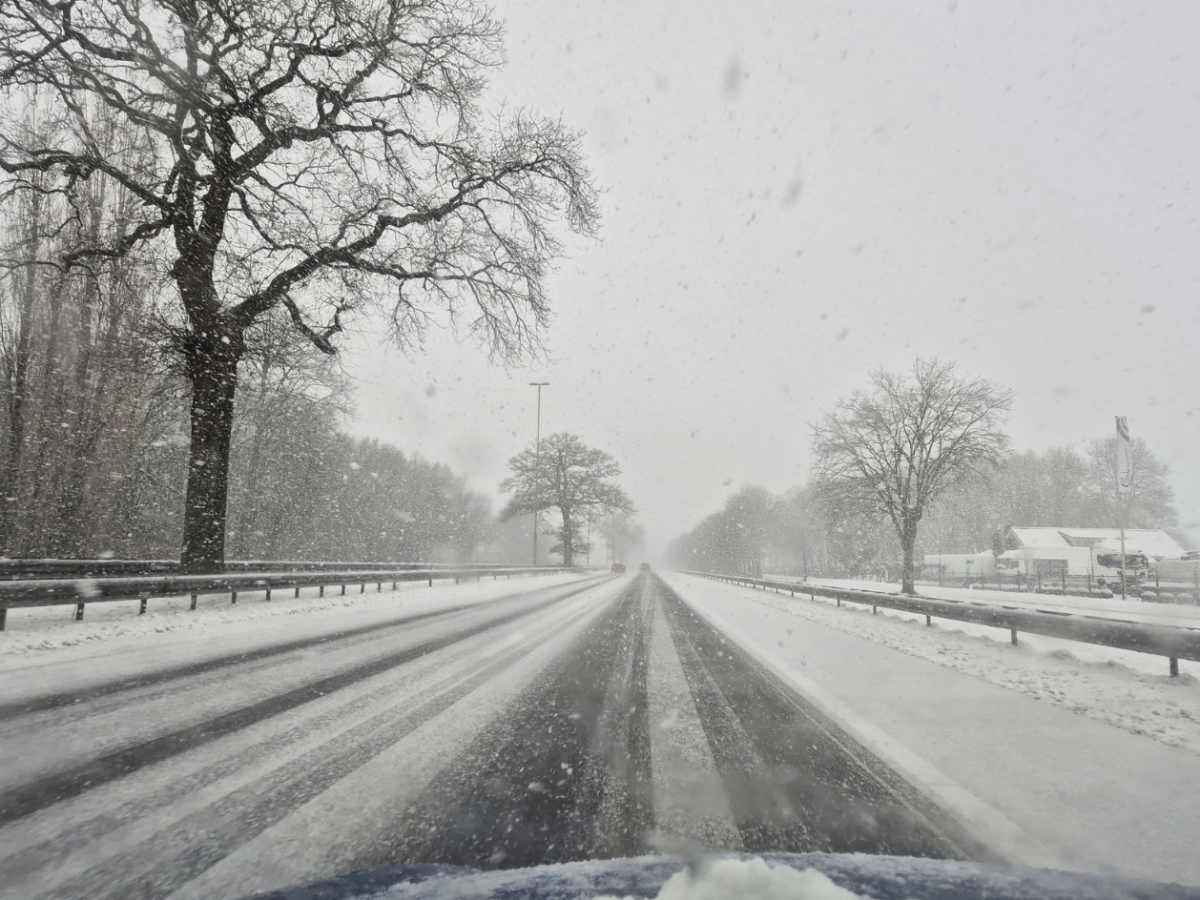 Фото: Сanva.com