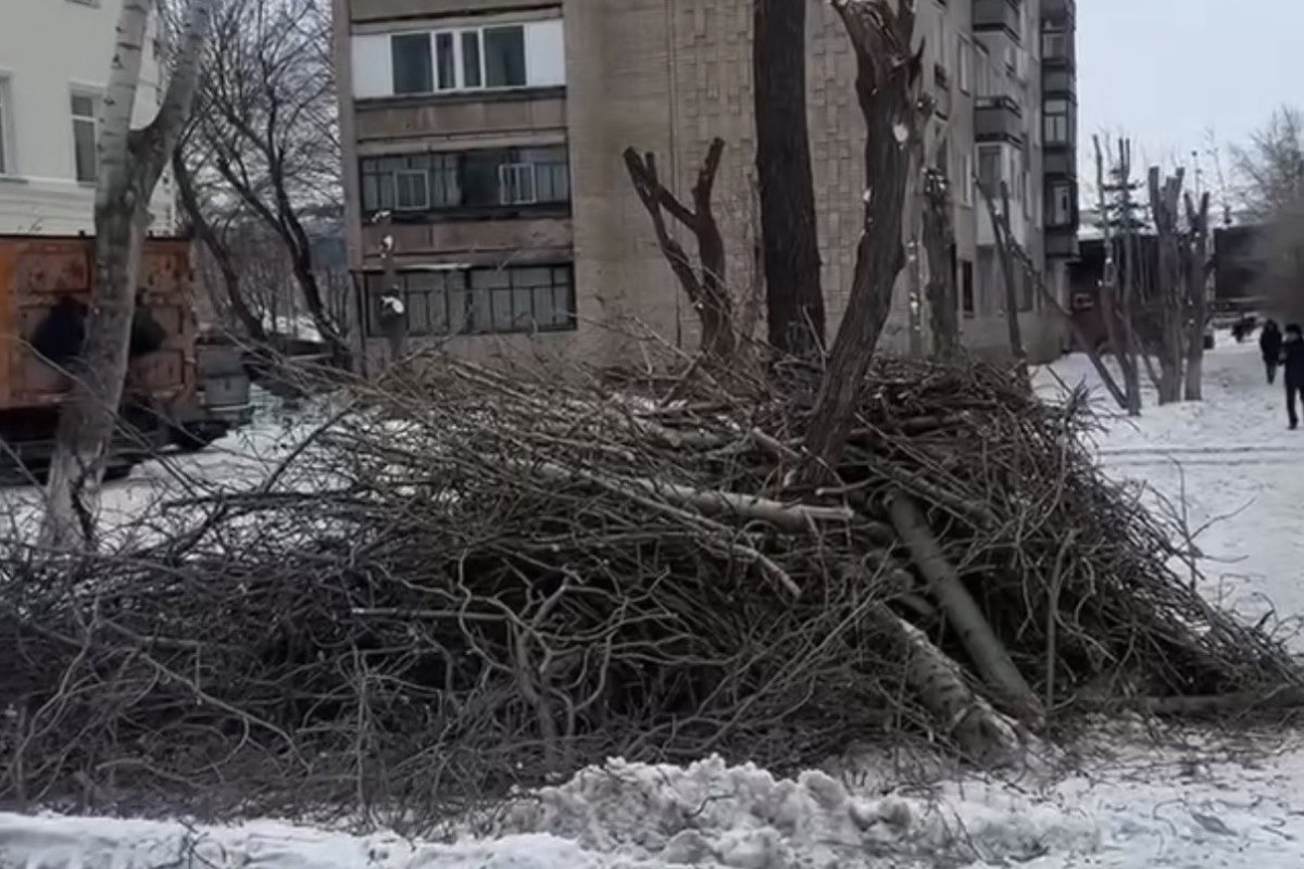 Фото: видеодан скрин