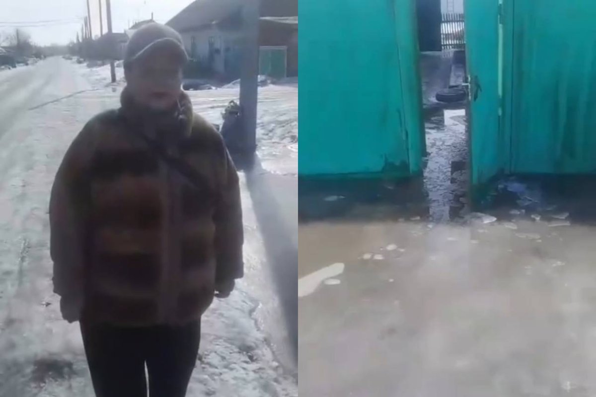 Фото: видеодан скрин