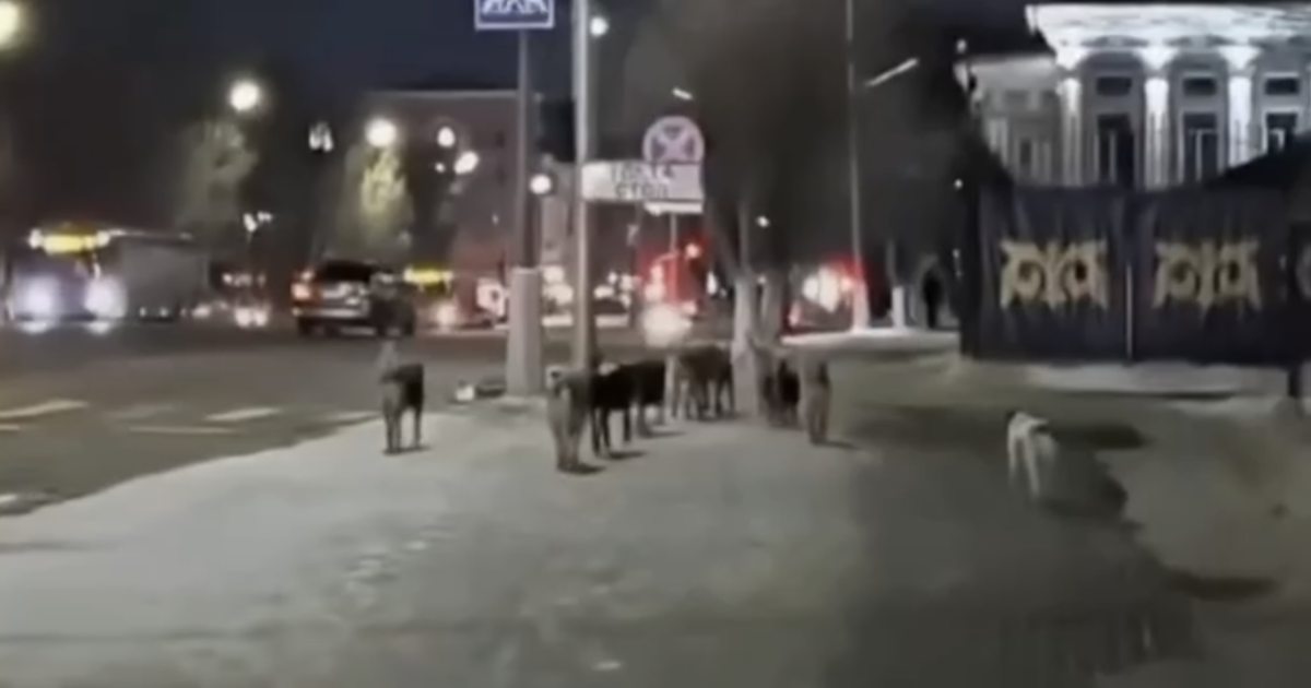 Фото: Видеодан алынған кадр