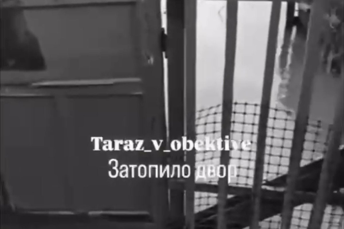 Фото: видеодан скрин