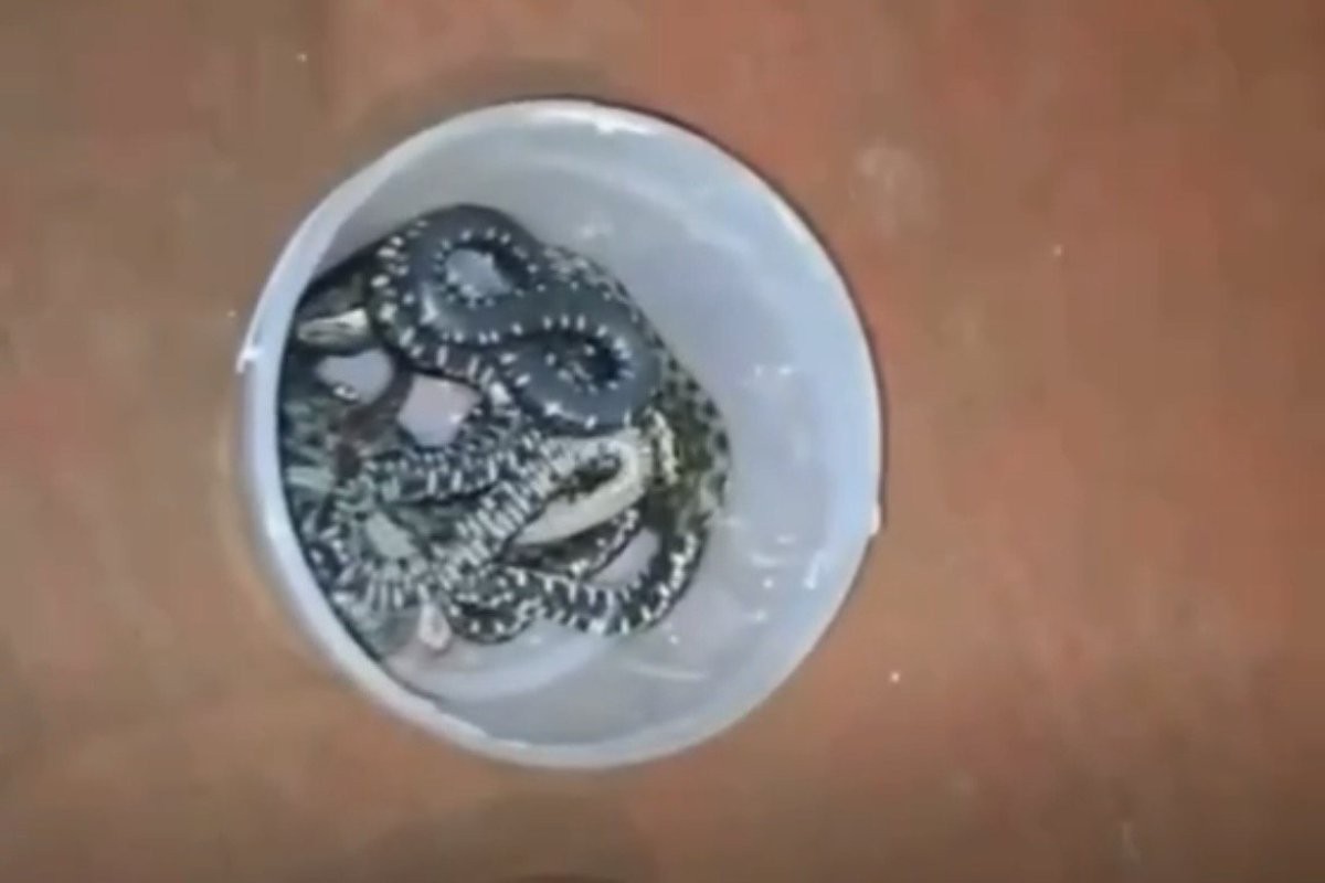 Фото: видеодан скрин