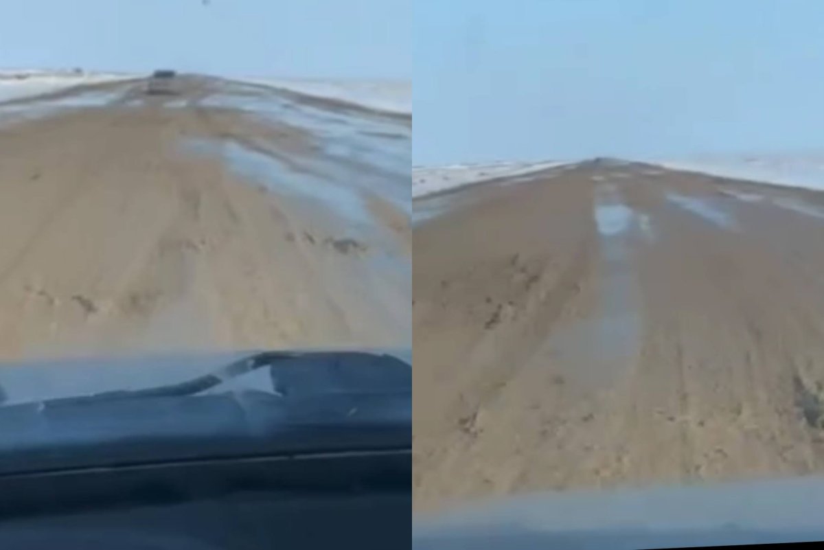 Фото: видеодан скриншот