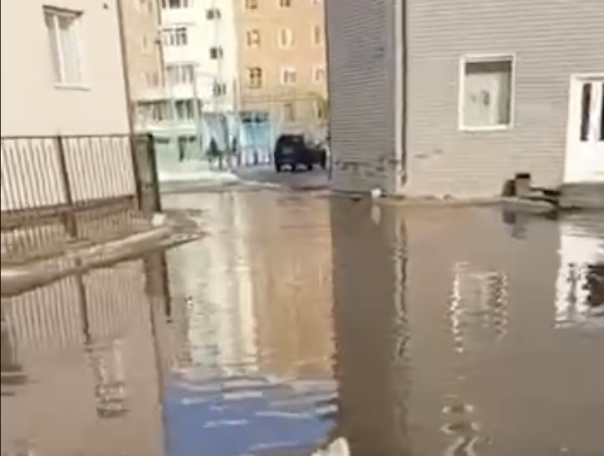 Фото: видео скриншот