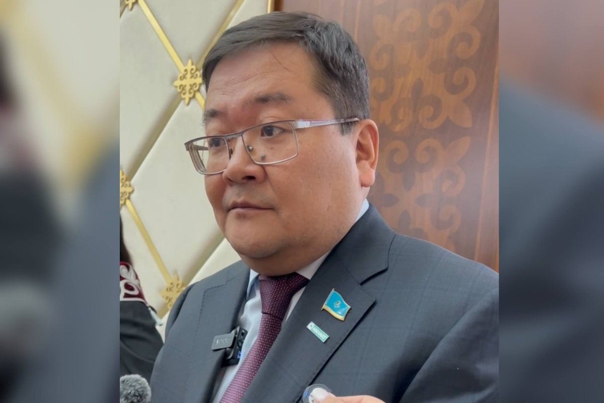 Фото: Видеодан скриншот