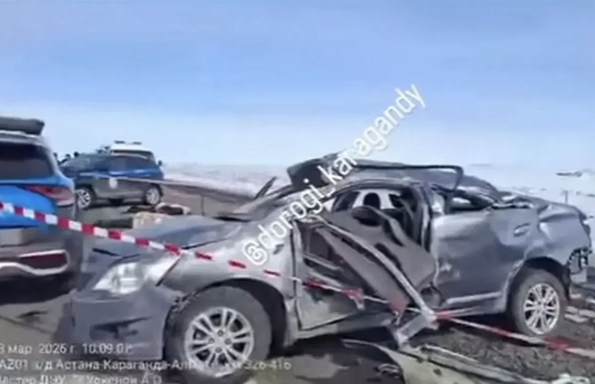 Фото: видеодан скриншот