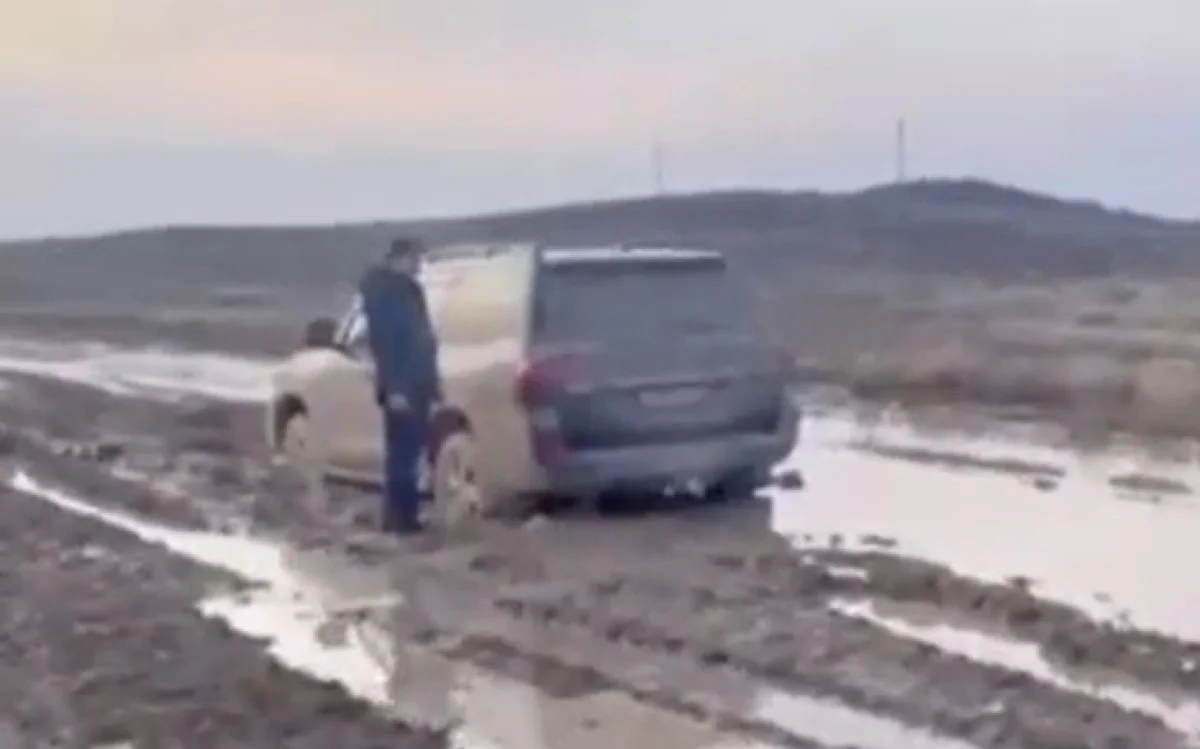 Фото: видео скриншот