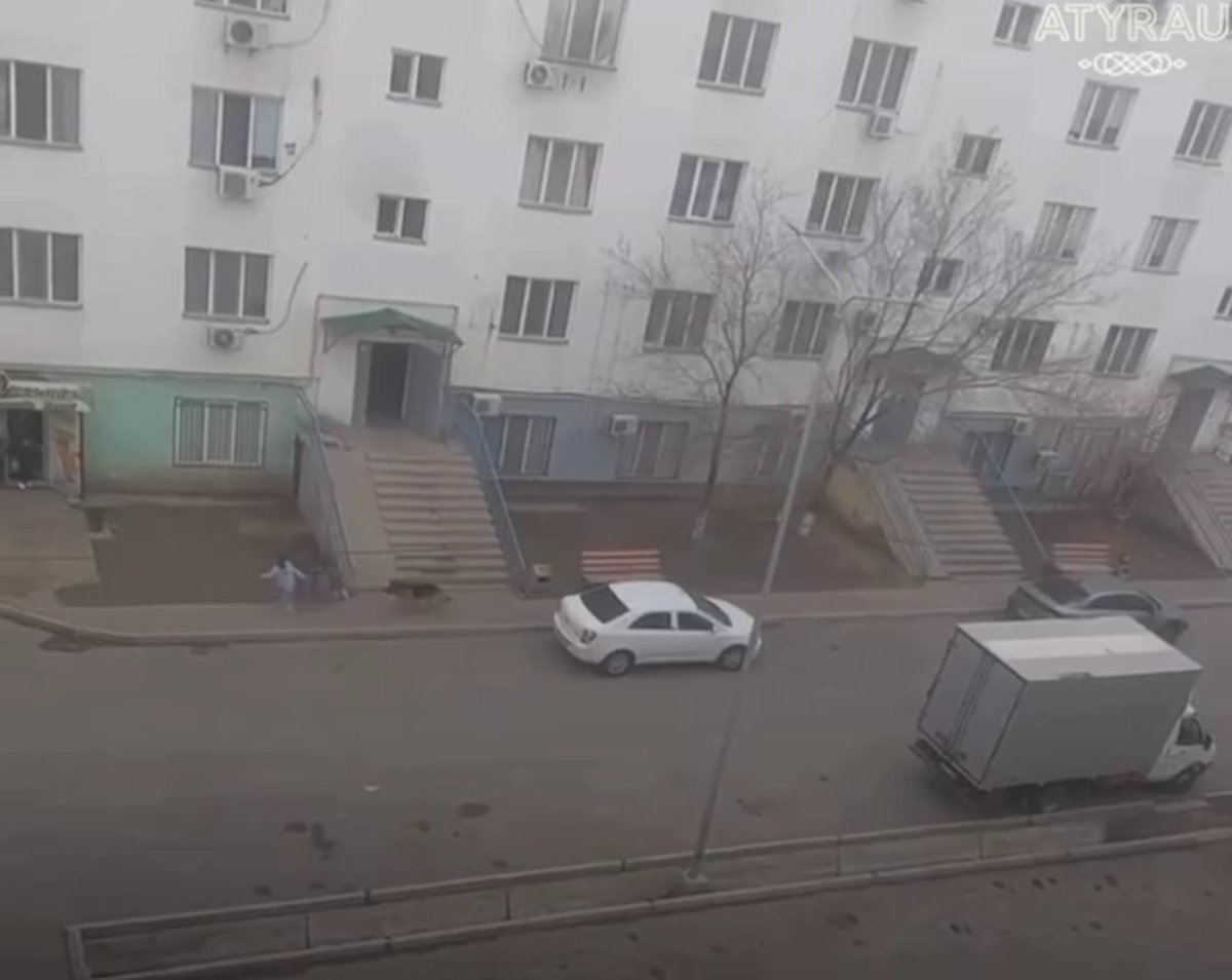 Фото: Видеодан алынған кадр