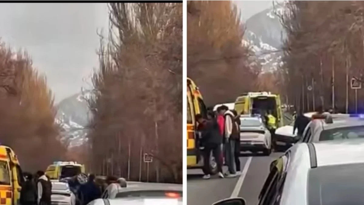 Фото: видеодан скриншот