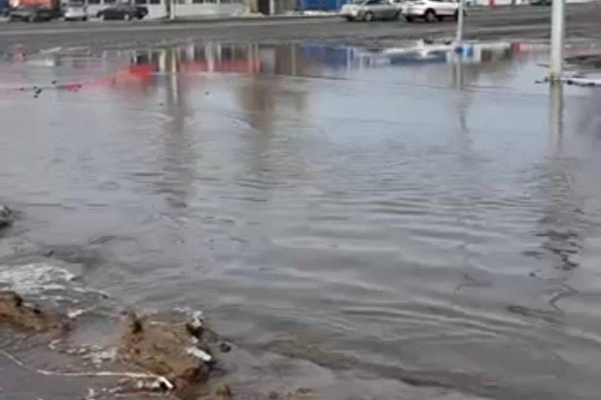 Фото: видеодан скрин