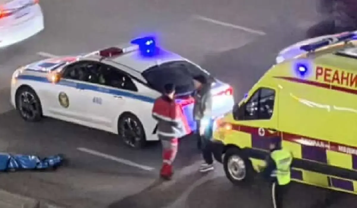 Фото: видеодан скриншот