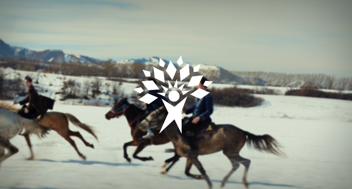 Фото: видео скриншот