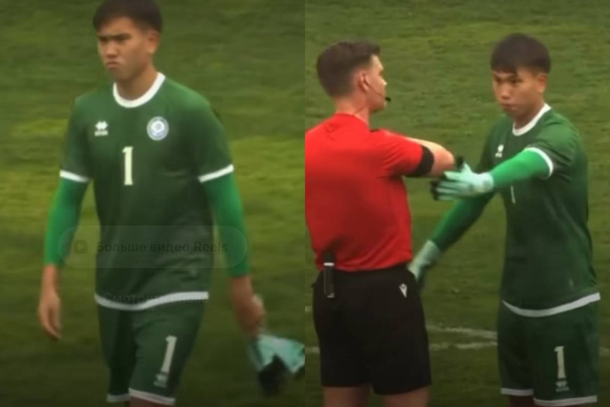 Фото: видеодан скрин