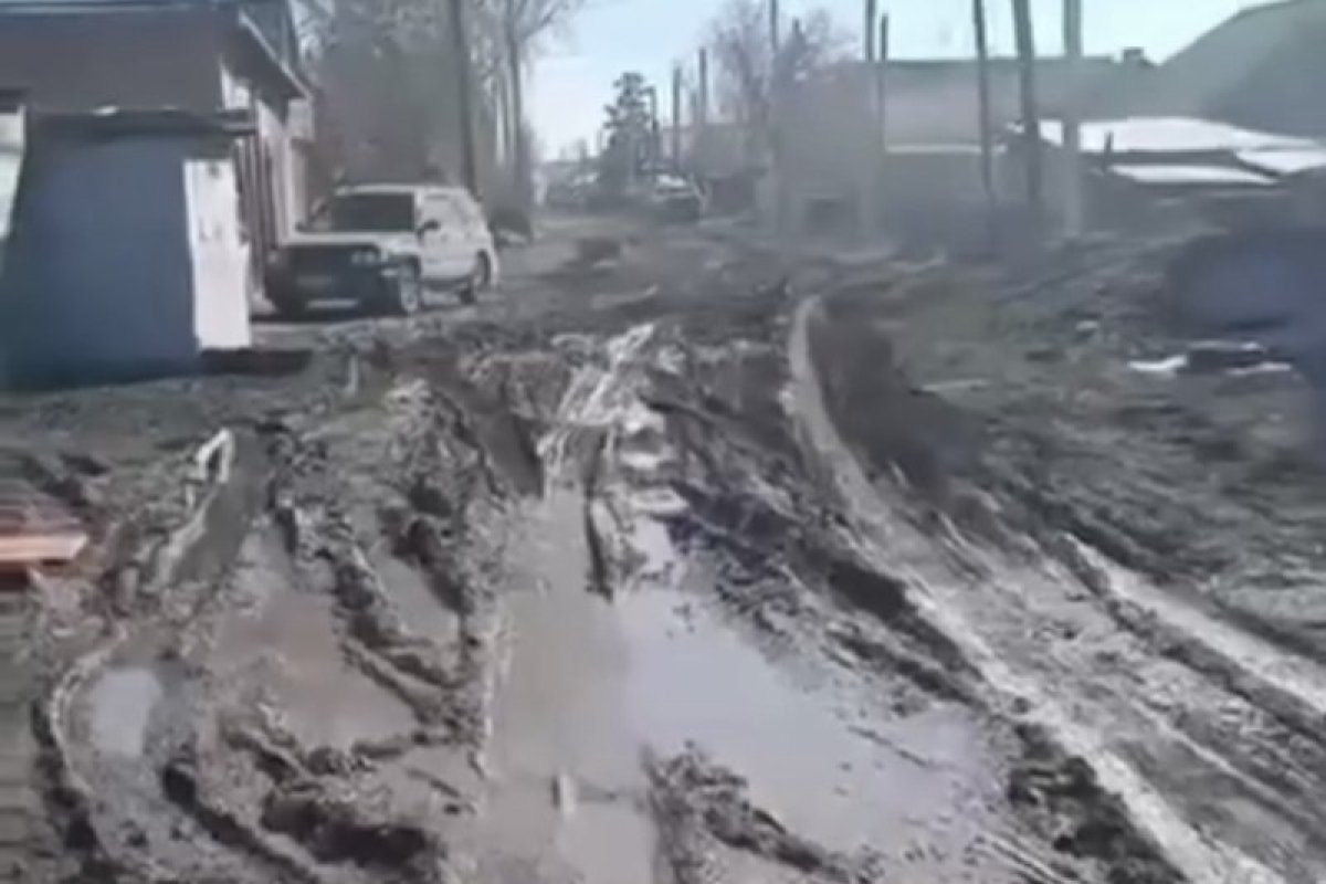 Фото: видеодан скрин