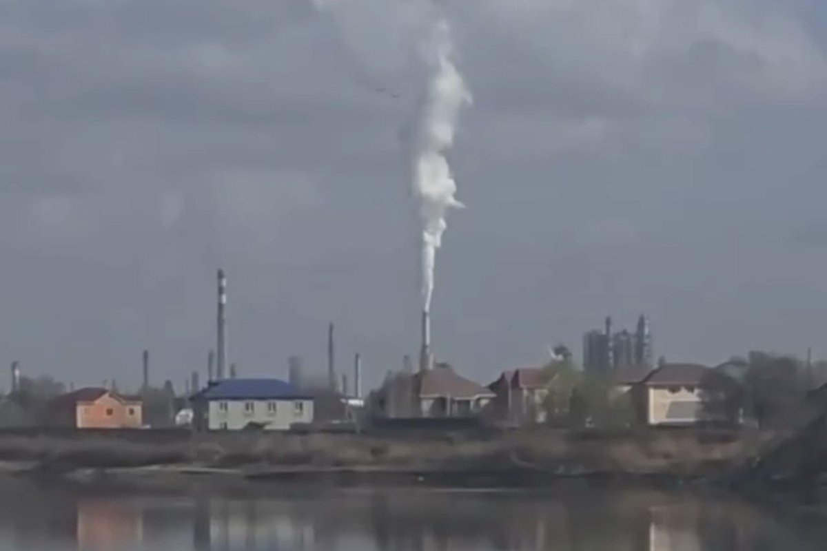 Фото: видеодан скрин