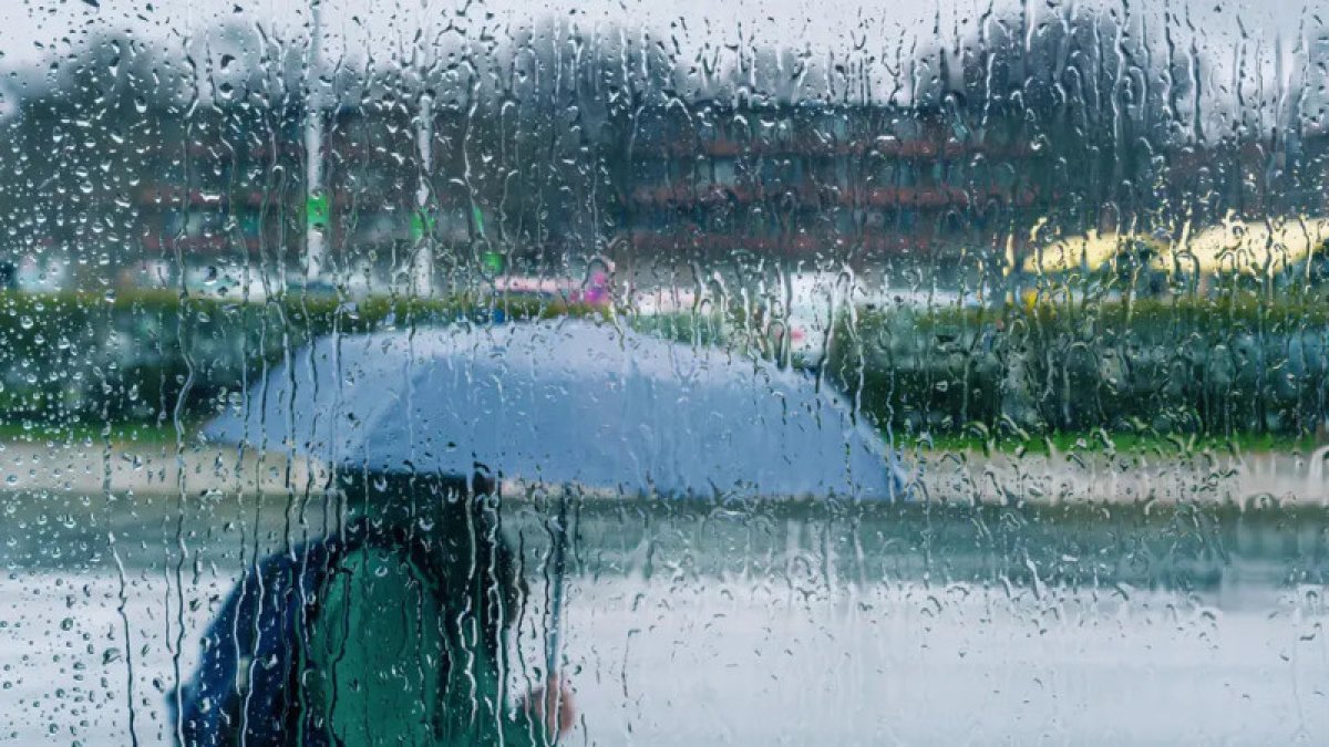 Фото: depositphotos.com