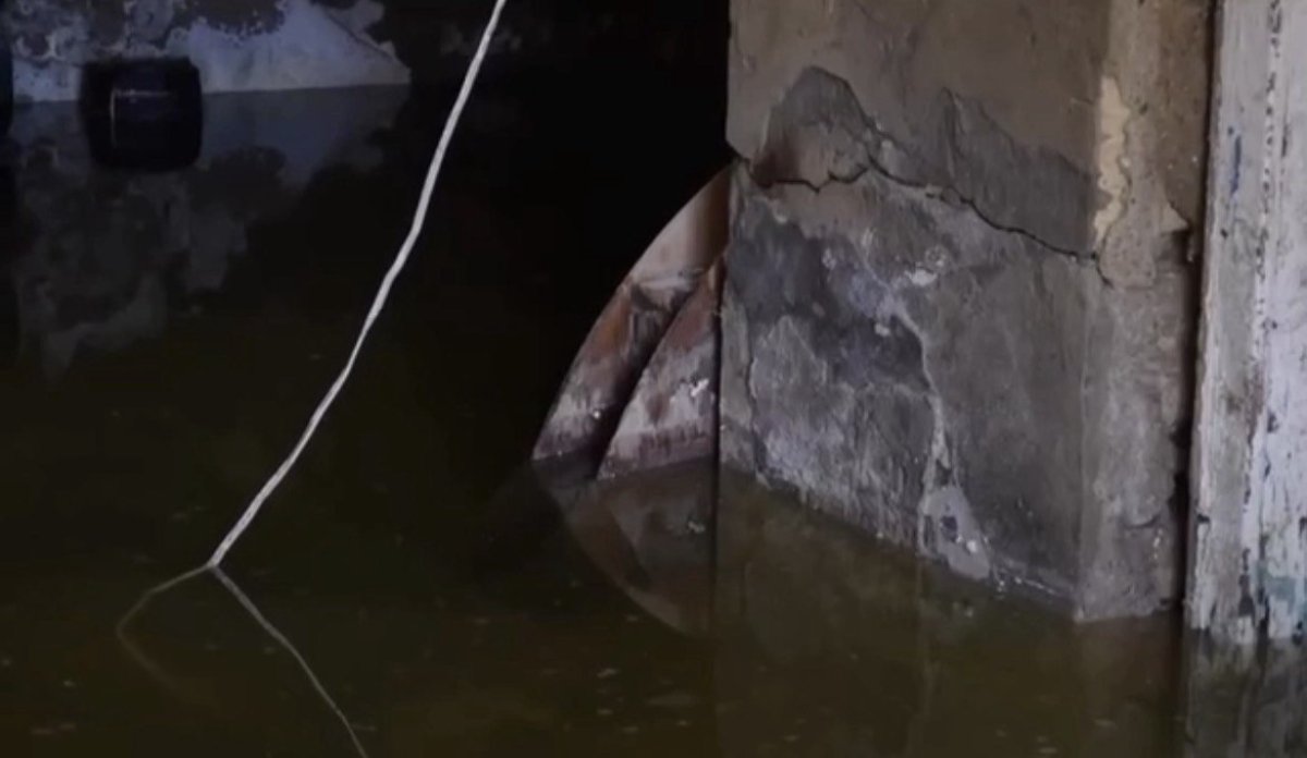 Фото: видеодан скрин