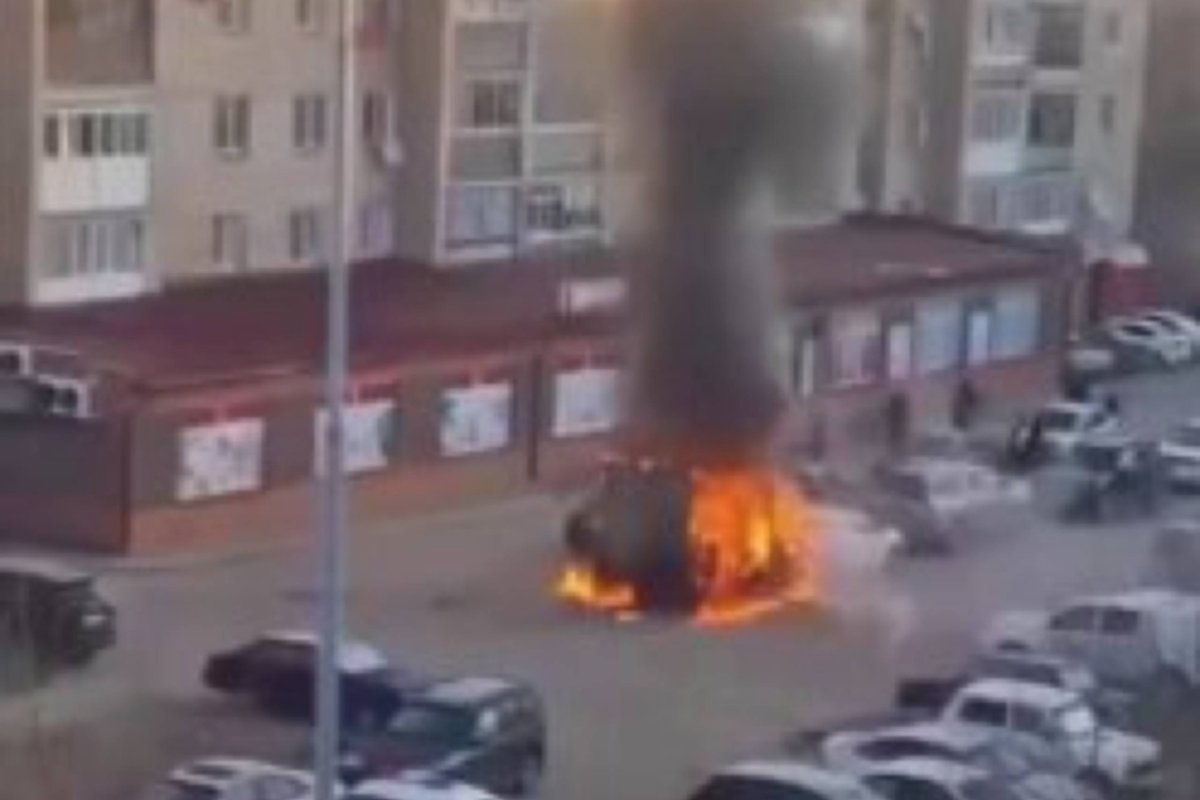 Фото: видеодан скриншот