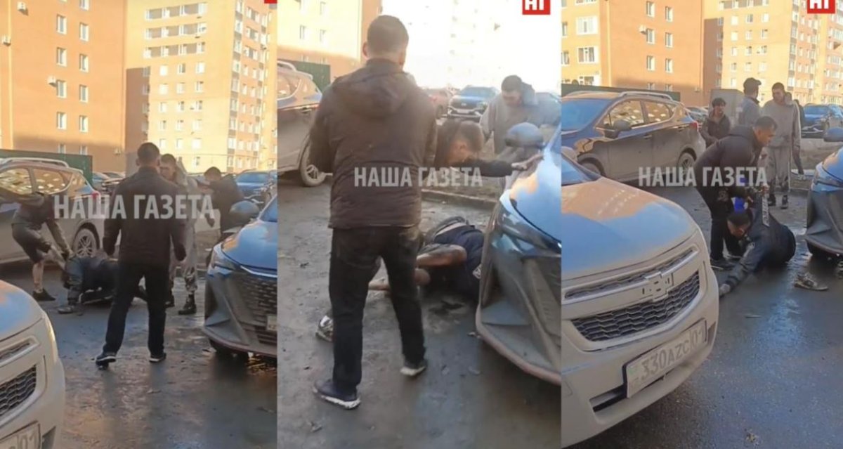 Фото: видеодан скрин