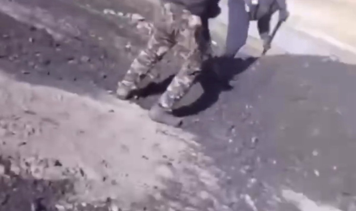 Фото: видеодан скрин