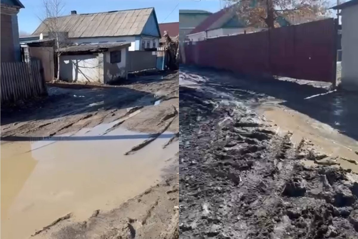 Фото: видеодан скриншот